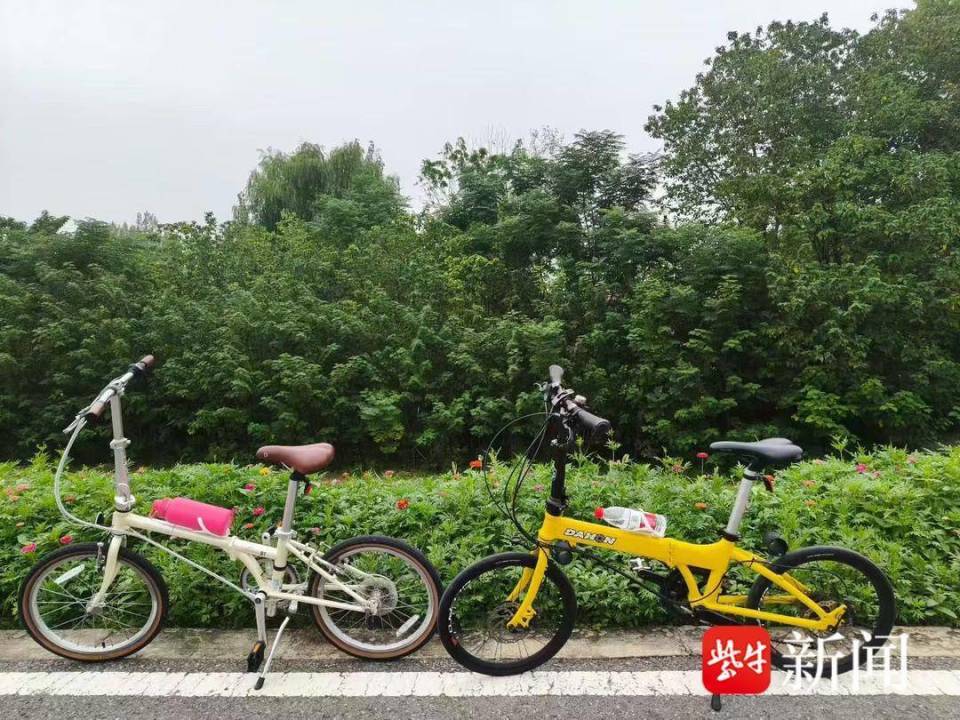 小电驴