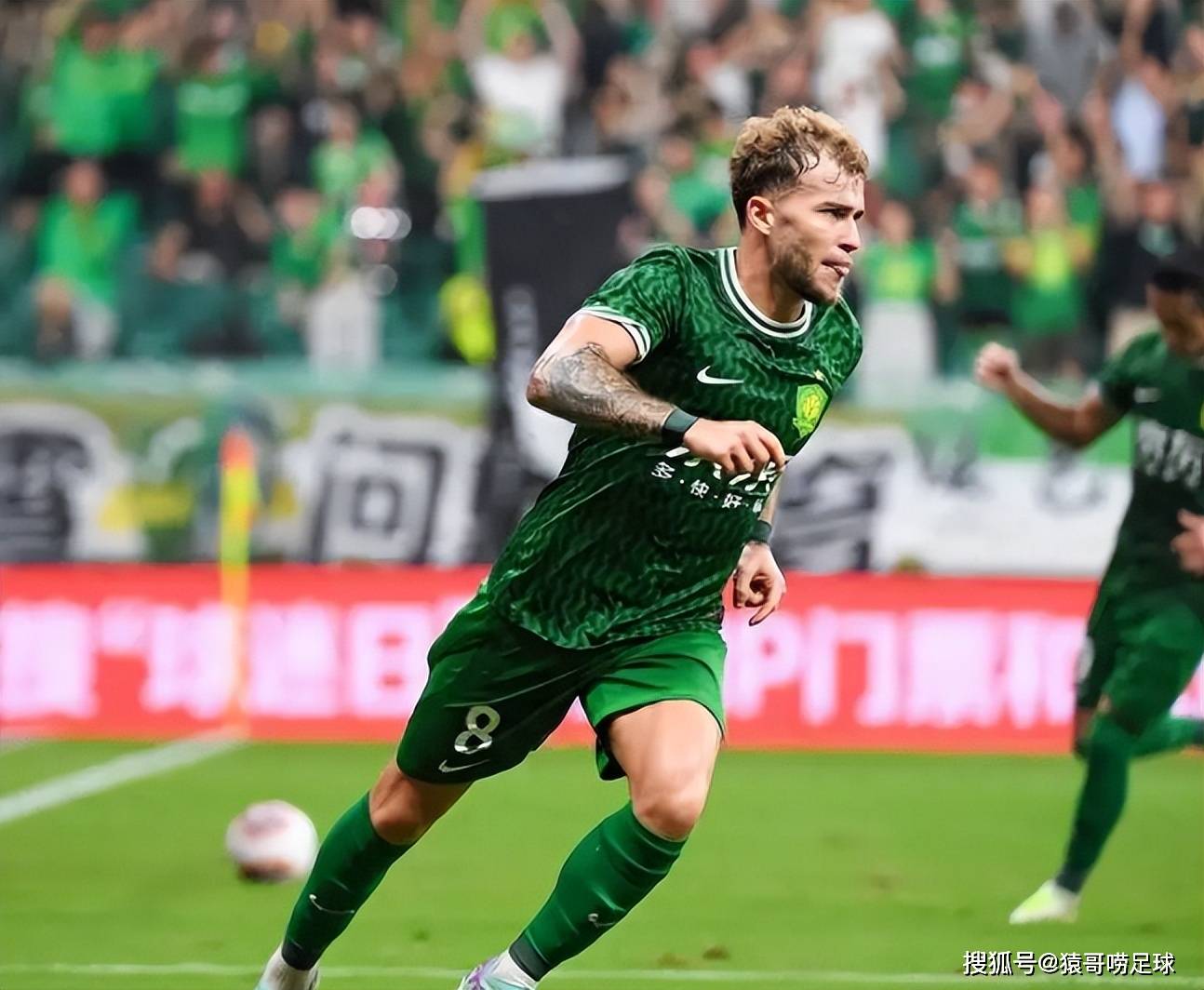 土地上挥洒 土地上挥洒