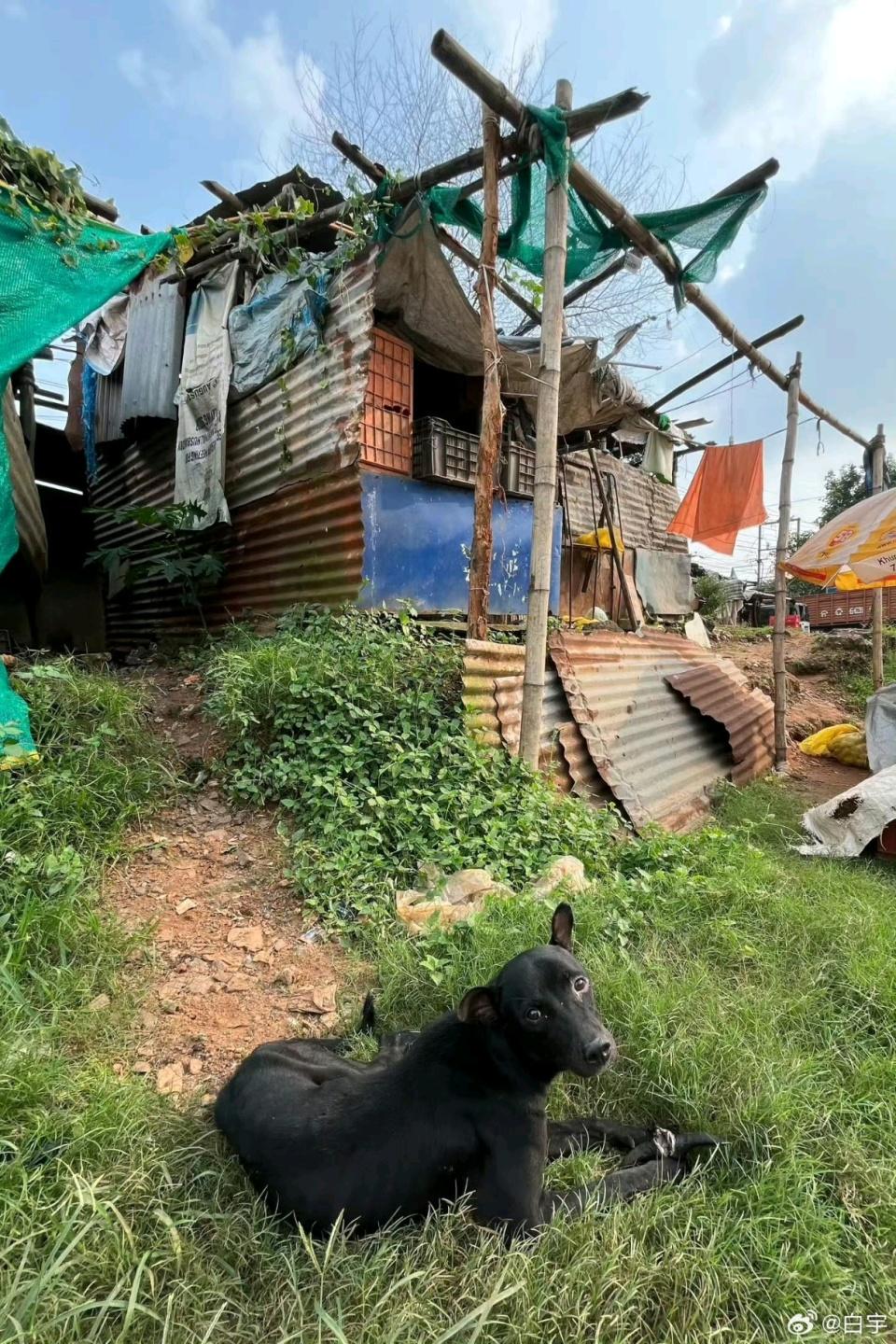 目惊心的居 目惊心的居